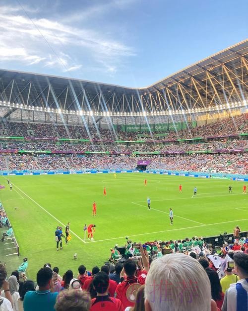 免费下载世界杯外围APP入口地址详细指南